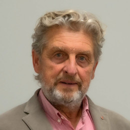 Wim Verhoef, Director de marketing